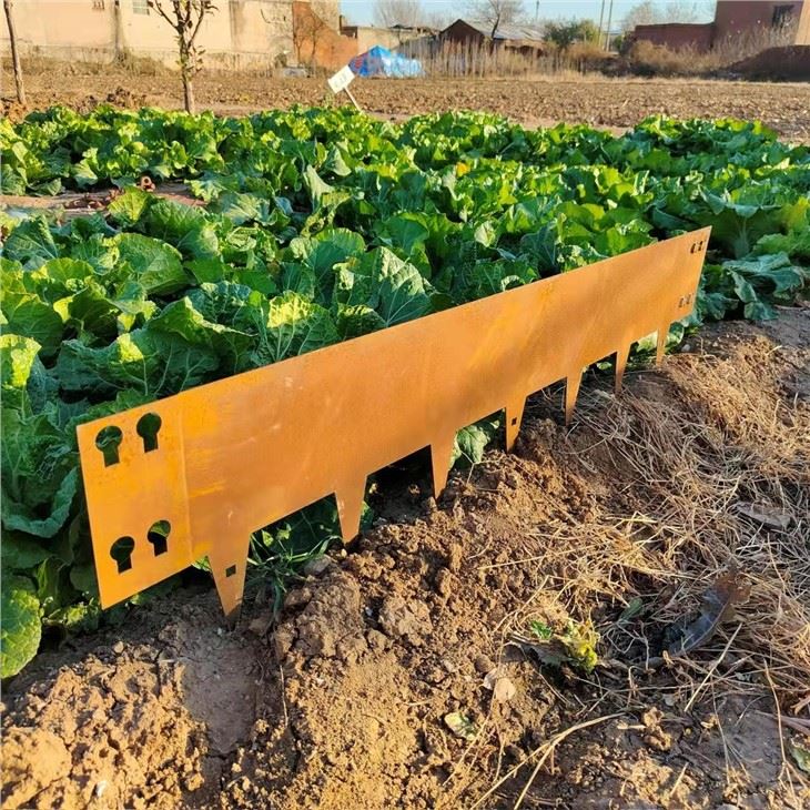 Garden Edging For Landscape Decoration