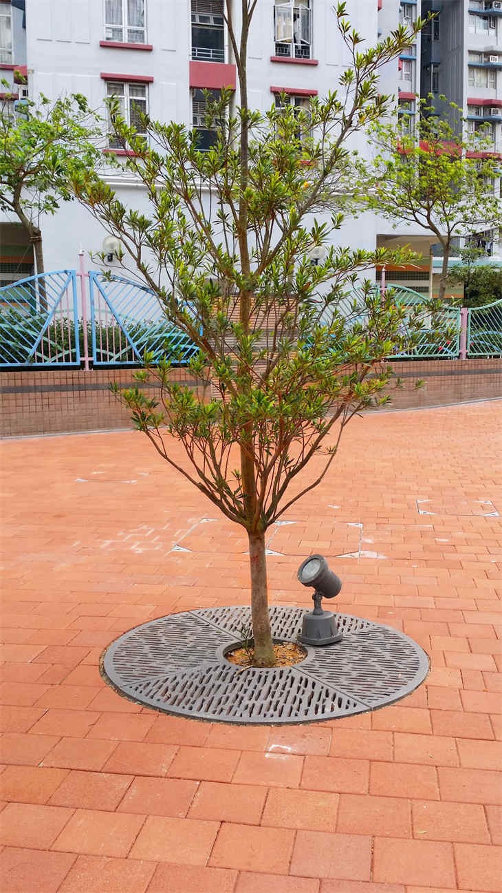 Garden Steel Tree Gates high quality