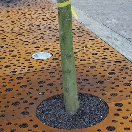 Outside Sidewalk Protection Metal Trees